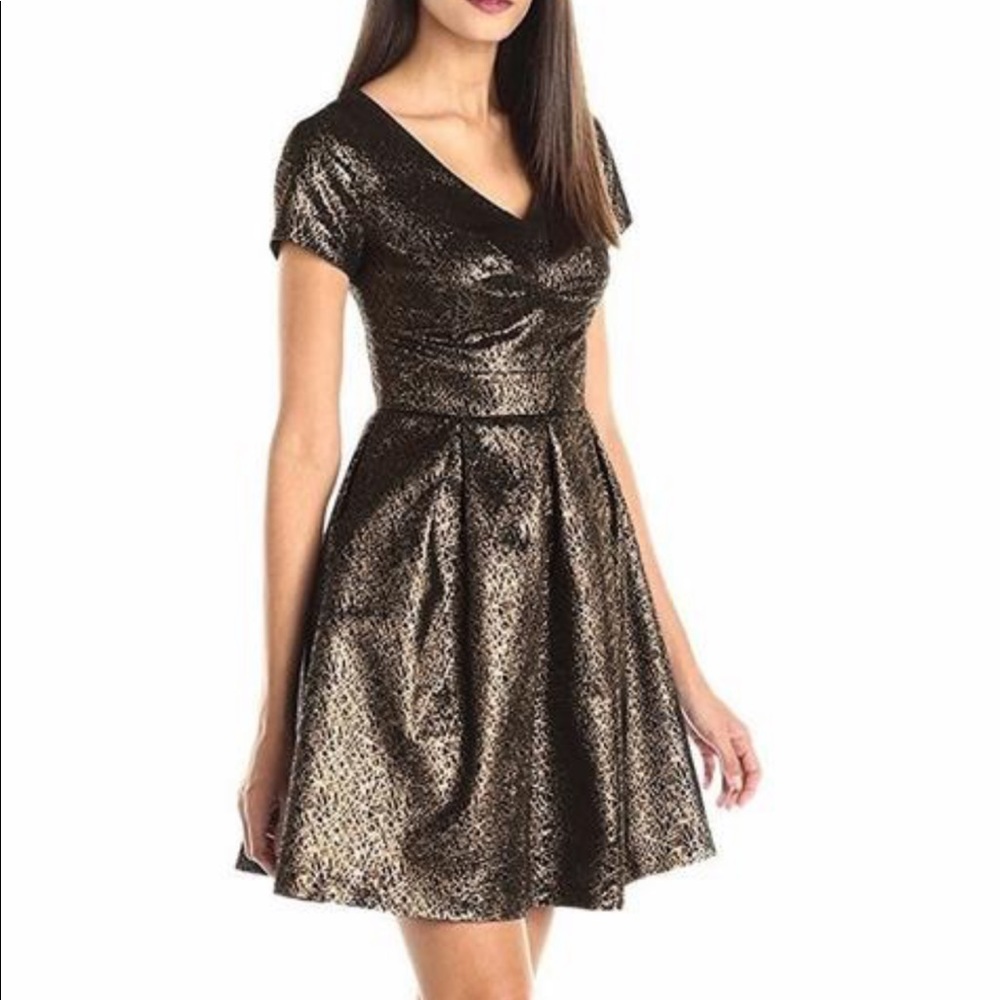 Beautiful Metallic & Black Dress!